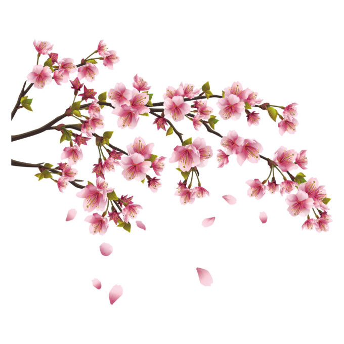 bloesem-tak-muursticker-bloemen-magnolia