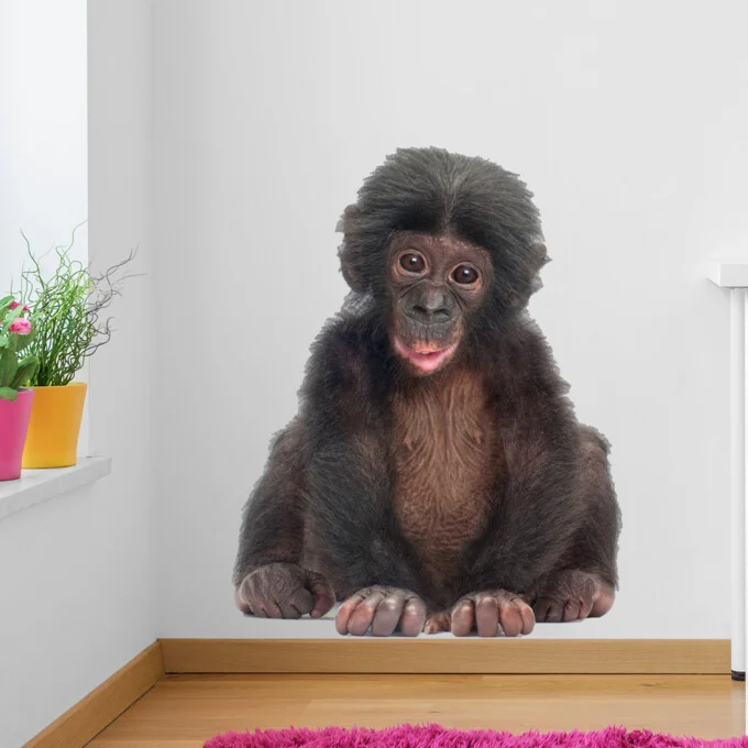 baby-aap-muursticker-kinderkamer-echt-foto-klein-aapje