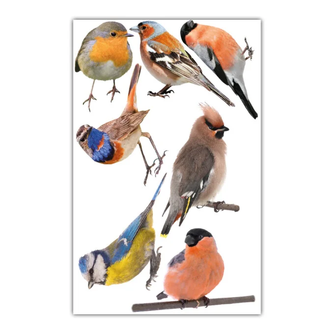 muurstickers-vogels-mus-tropisch-muursticker