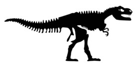 muursticker dinosaurus kinderkamer dinokamer zwart ideeen inspiratie