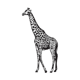 muursticker giraffe kinderkamer woonkamer zwart groot