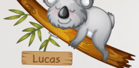 muursticker koala met naam babykamer beer inspiratie diy leuk ideeen