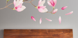 muursticker slaapkamer magnolia kersenbloessem bloemen roze vrolijk