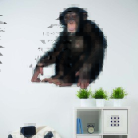 muursticker kinderkamer ideeen aap chimpansee inspiratie