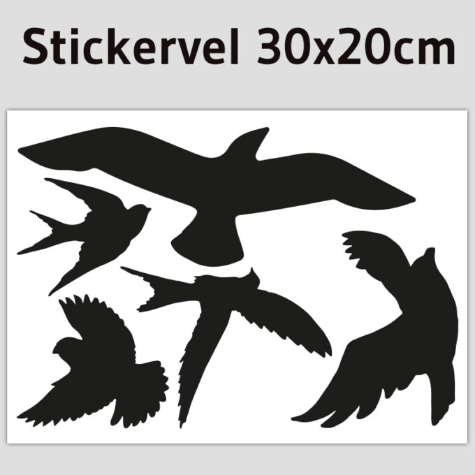 stickervel vogel set