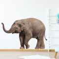 muursticker olifant babykamer kinderkamer inspiratie ideeen