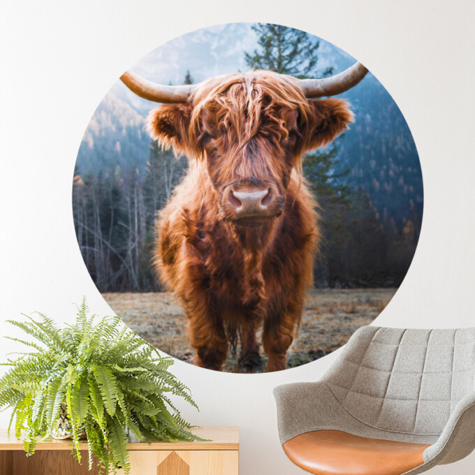 muurcirkel schotse hooglander stier dieren woonkamer muurdecoratie scottisch highlander koe hoorns