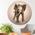 muurcirkel sticker muurdecoratie wandcirkel behangcirkel olifant baby accessoires