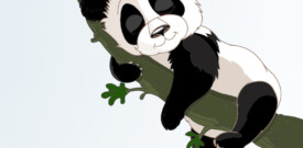 muursticker slapende panda op tak kinderkamer babykamer ideeen inspiratie boom tak jungle