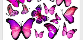 muursticker raamsticker vlinders roze meisjeskamer vrolijk ideeen prinsessen licht paars